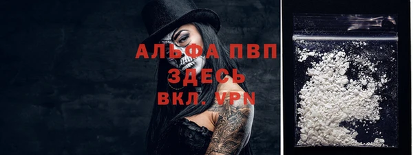 Альфа ПВП Гусев