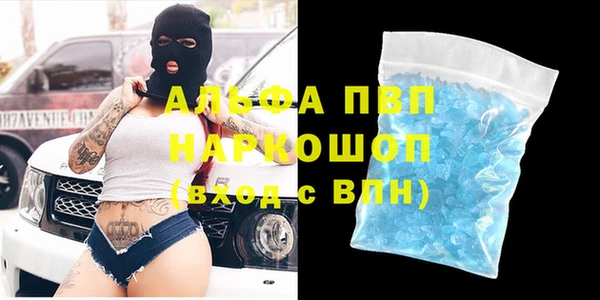 прущие грибы Великий Новгород